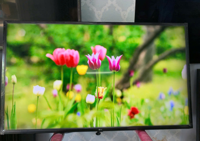 dich-vu-bao-hanh-tv-lg-tai-tp-ho-chi-minh-ho-tro-ky-thuat-dung-quy-trinh